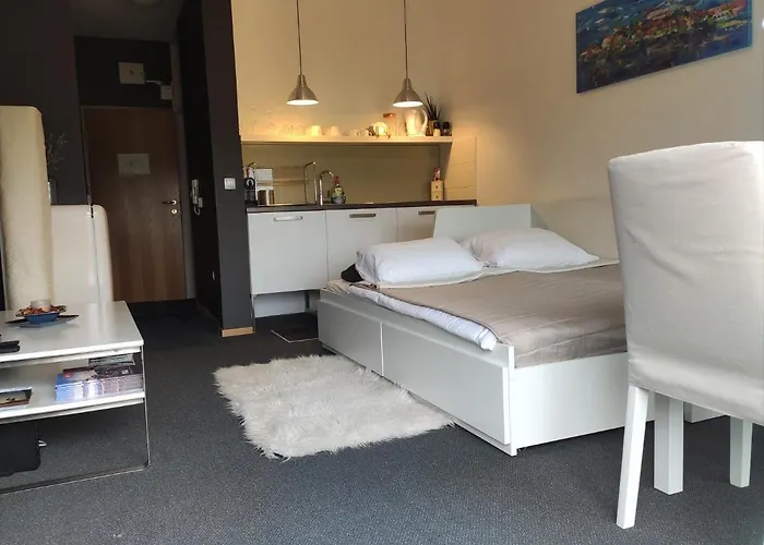 Studio Apartment \